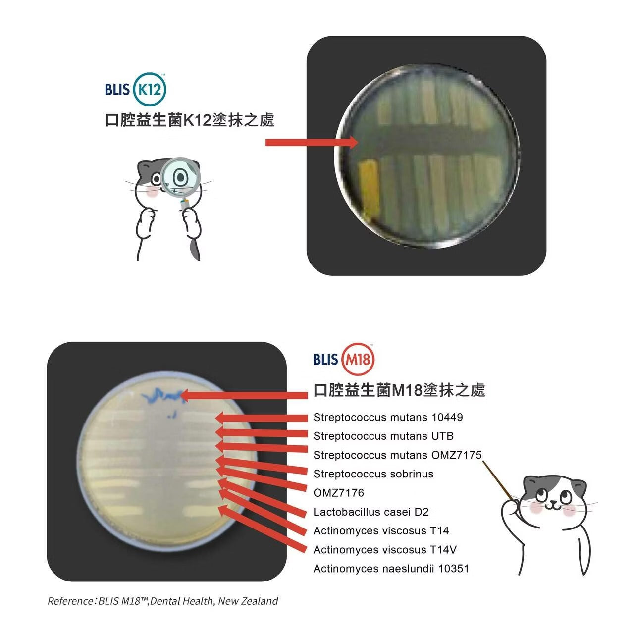 星巴哈尼|貓用口腔護理保健