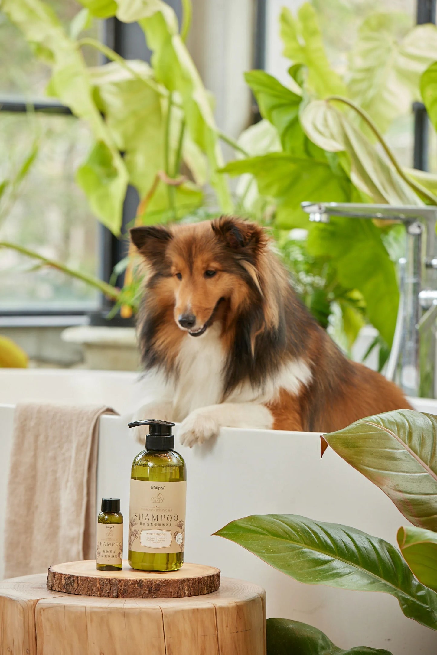 絲胺植萃|保濕沐浴乳