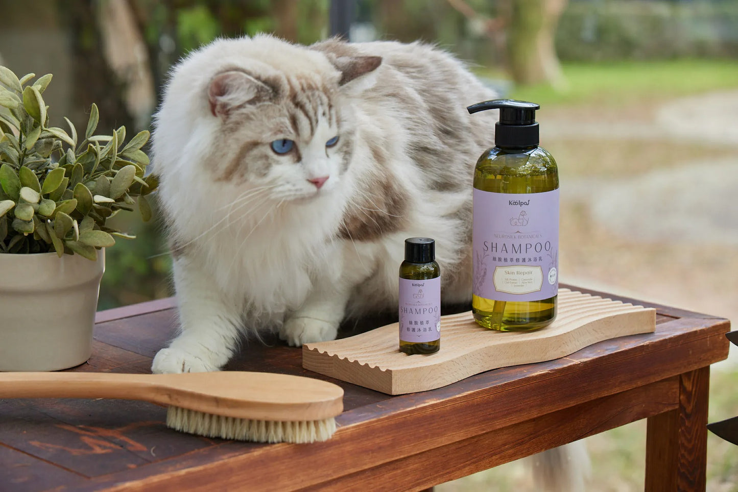 絲胺植萃|修護沐浴乳