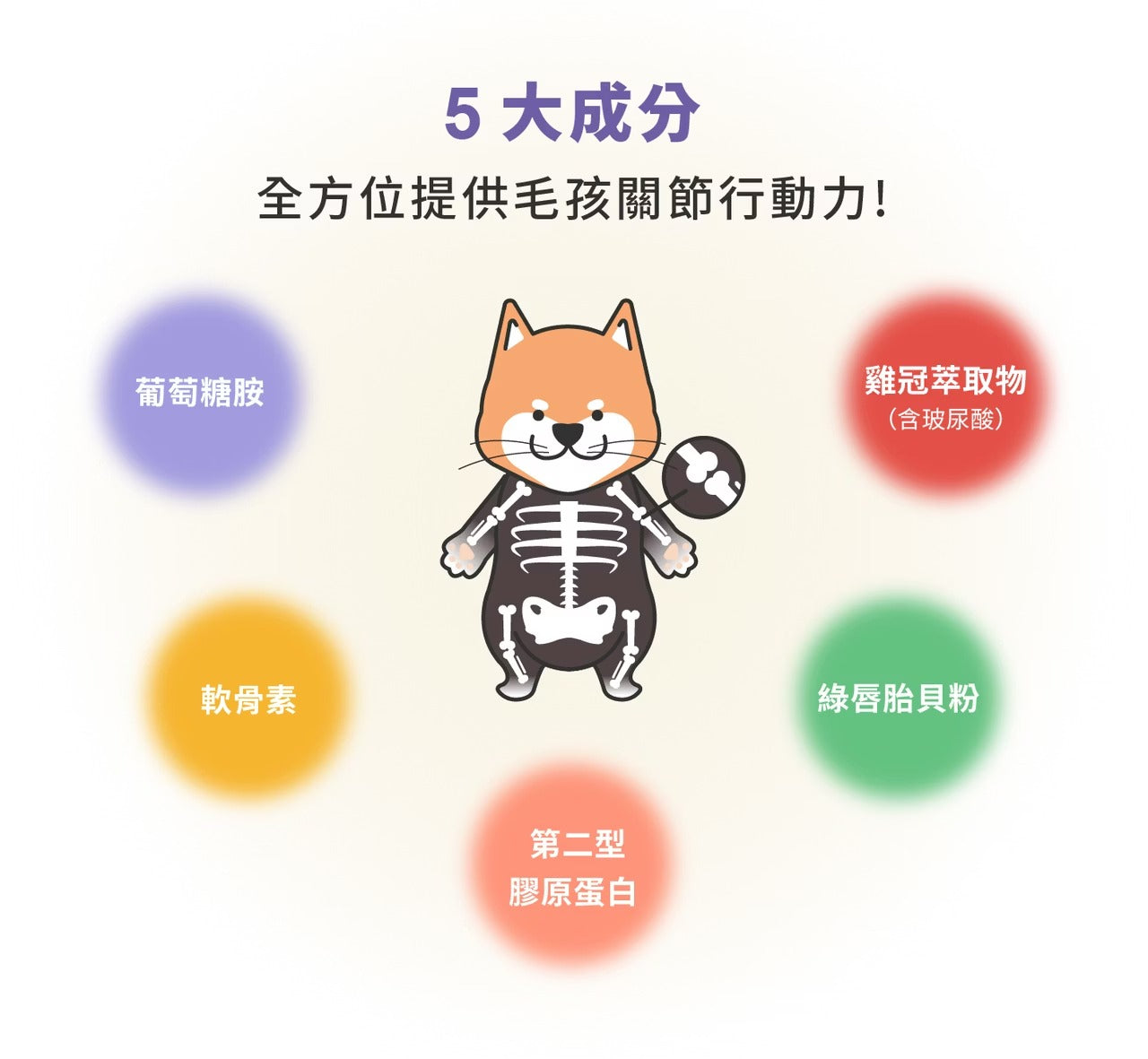 星巴哈尼|犬用專用關節保健