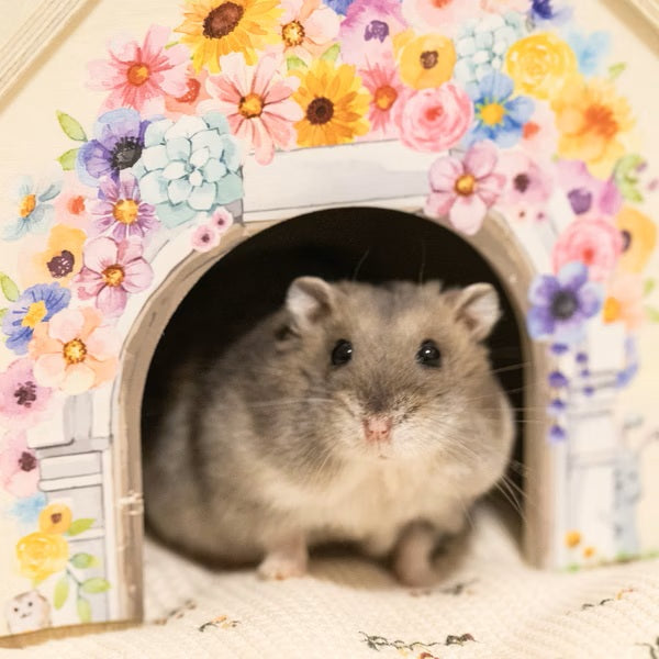 【噗噗噠噠】|浪漫滿屋 小動物用小木屋