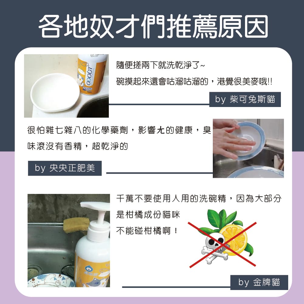 【臭味滾ODOUT】 貓 洗碗精 500ml 3瓶優惠組 生食輕鬆沖淨