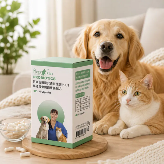 寵安適益生菌PLUS｜腸道與骨關節照護配方（30顆入）