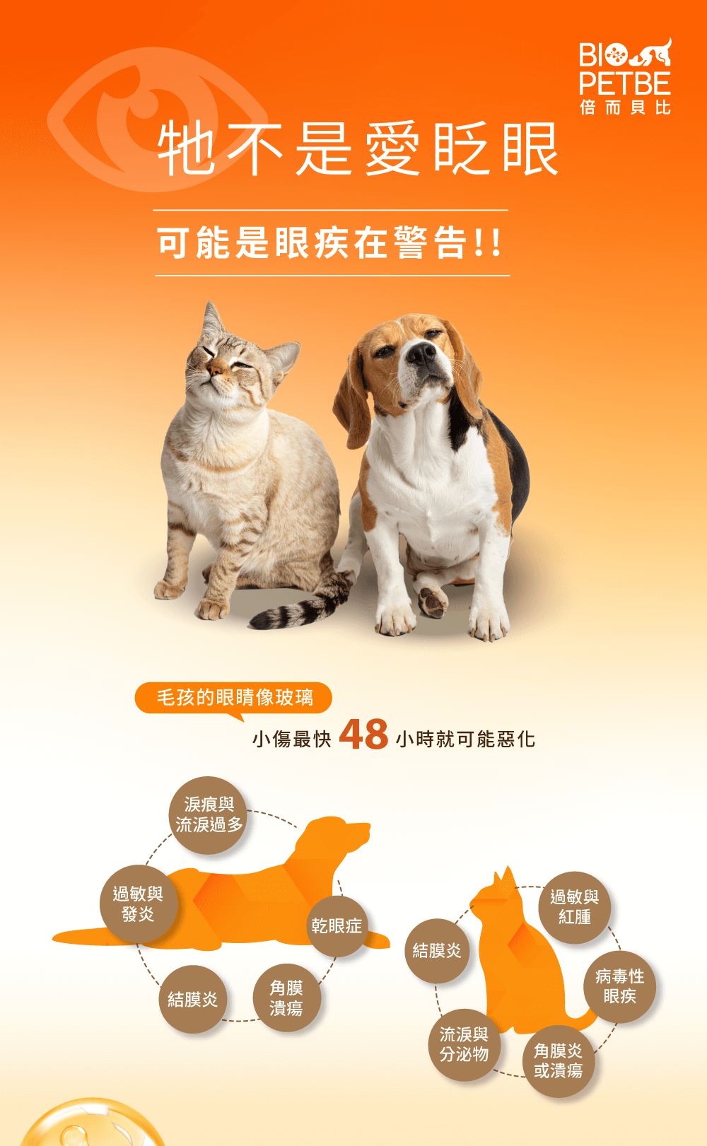 【BIO PETBE】倍而貝比 護眼晶露