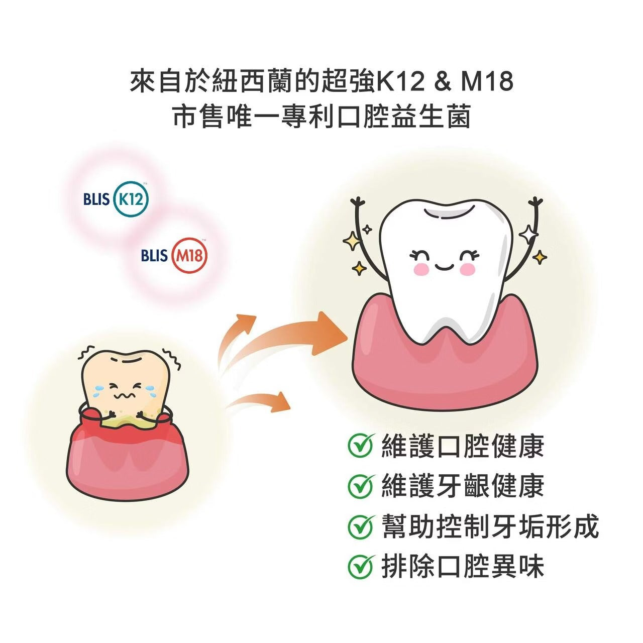 星巴哈尼｜貓用口腔護理保健