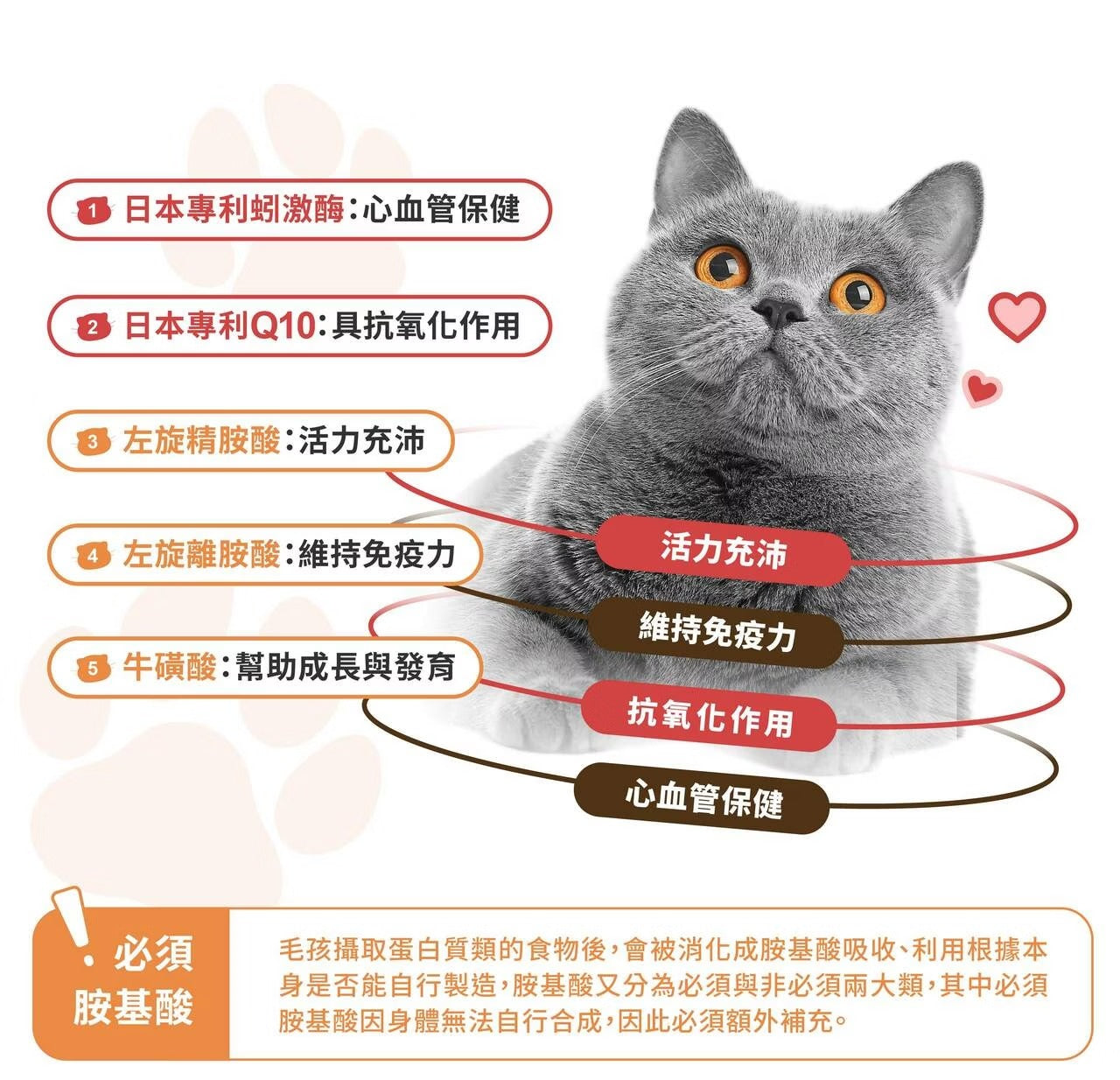 星巴哈尼｜貓用專業心血管保健