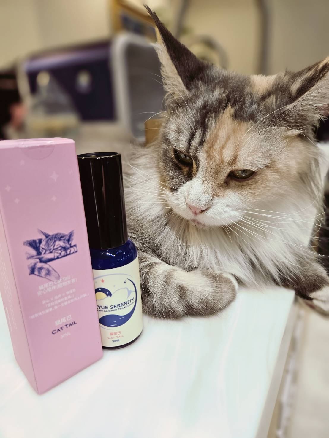 【逸養岱月｜𝐃𝐀𝐈𝐘𝐔𝐄 𝐒𝐄𝐑𝐄𝐍𝐈𝐓𝐘】空間香氛  貓尾巴