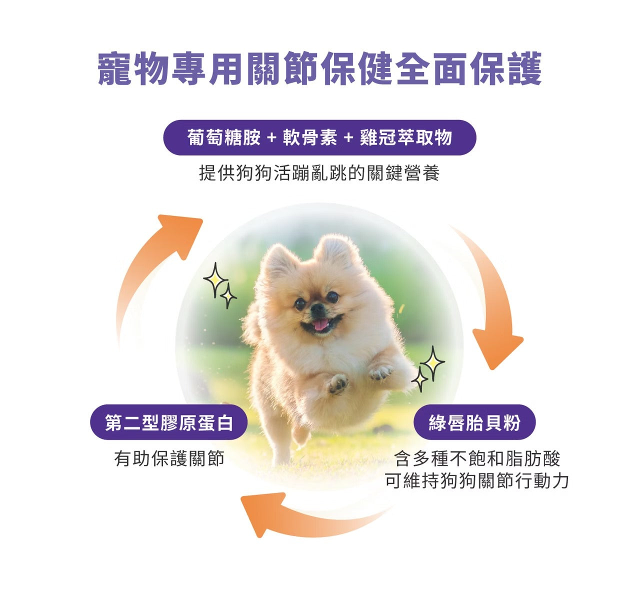 星巴哈尼｜犬用專用關節保健