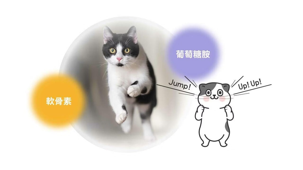 星巴哈尼｜貓用專用關節保健