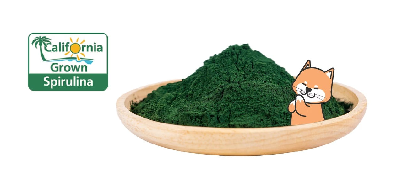 星巴哈尼｜犬用天然營養補給保健