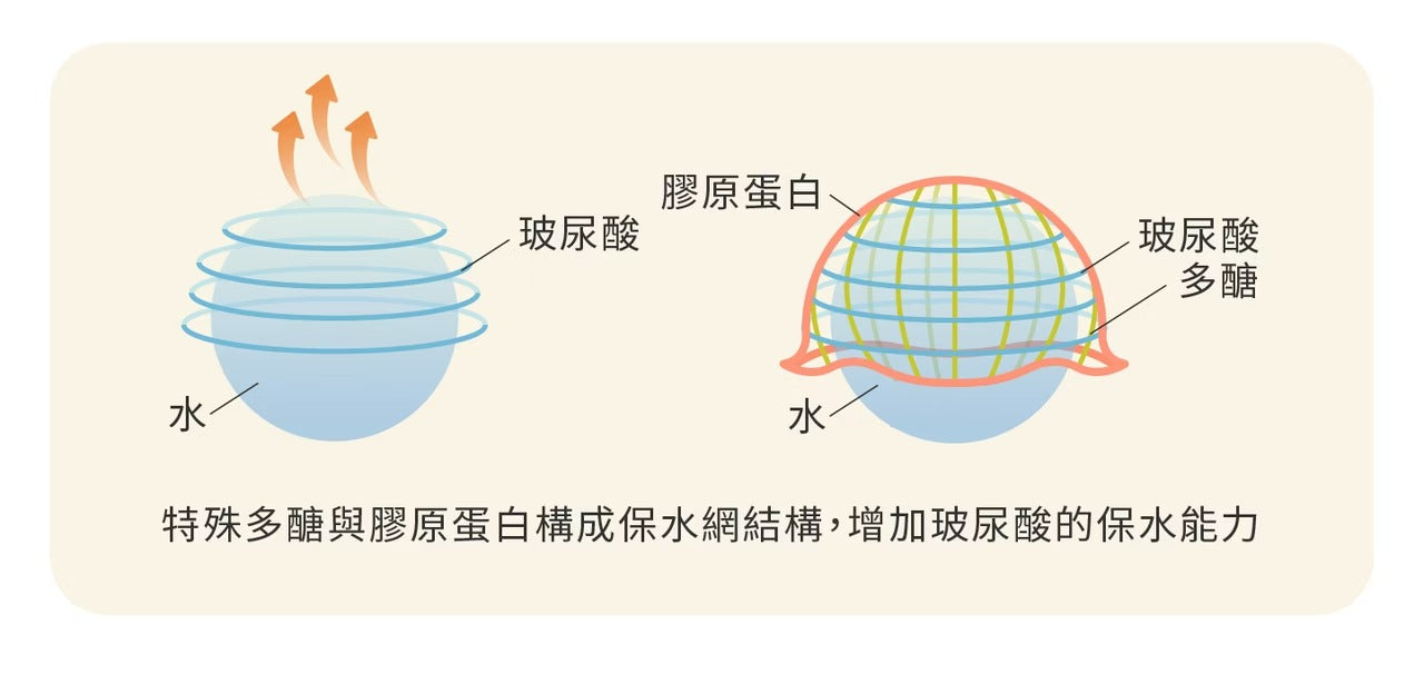 星巴哈尼｜貓用專用關節保健