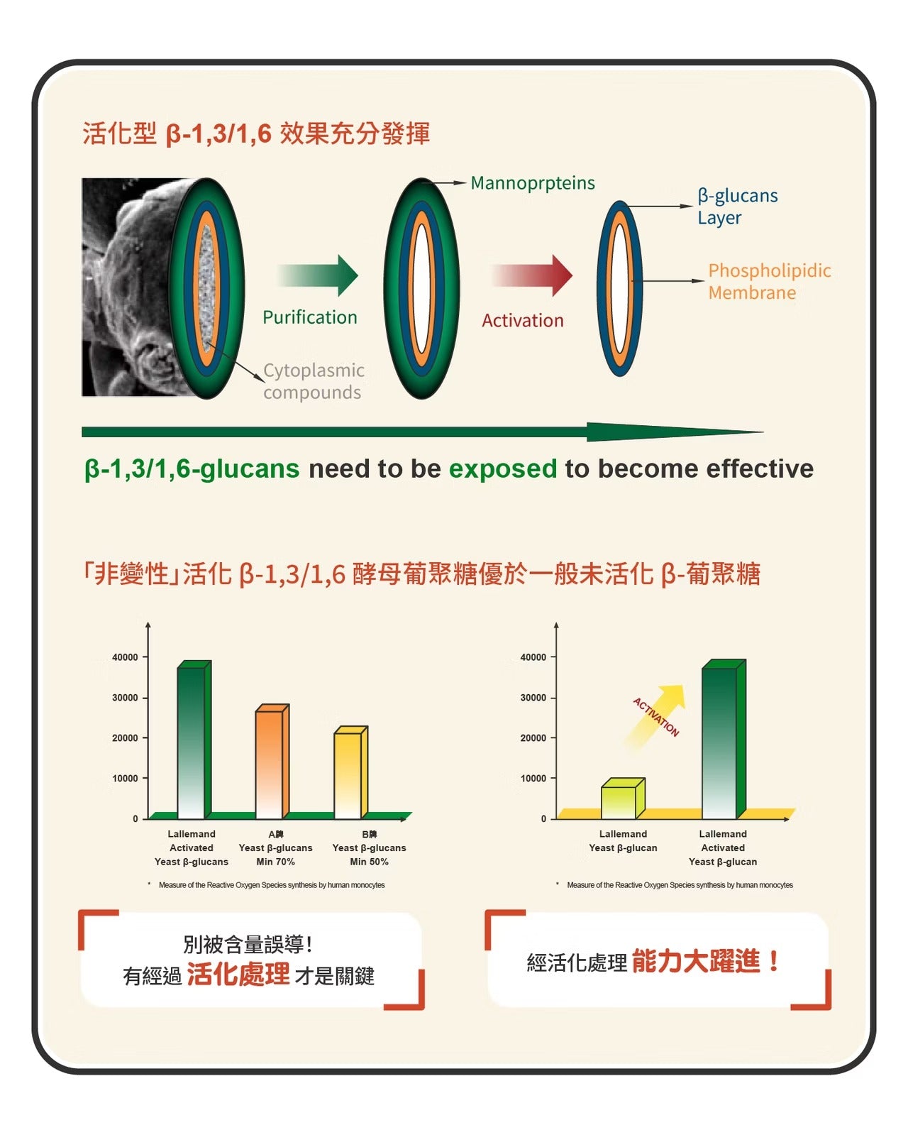 星巴哈尼｜貓用左旋離胺酸（雙多醣Plus+)