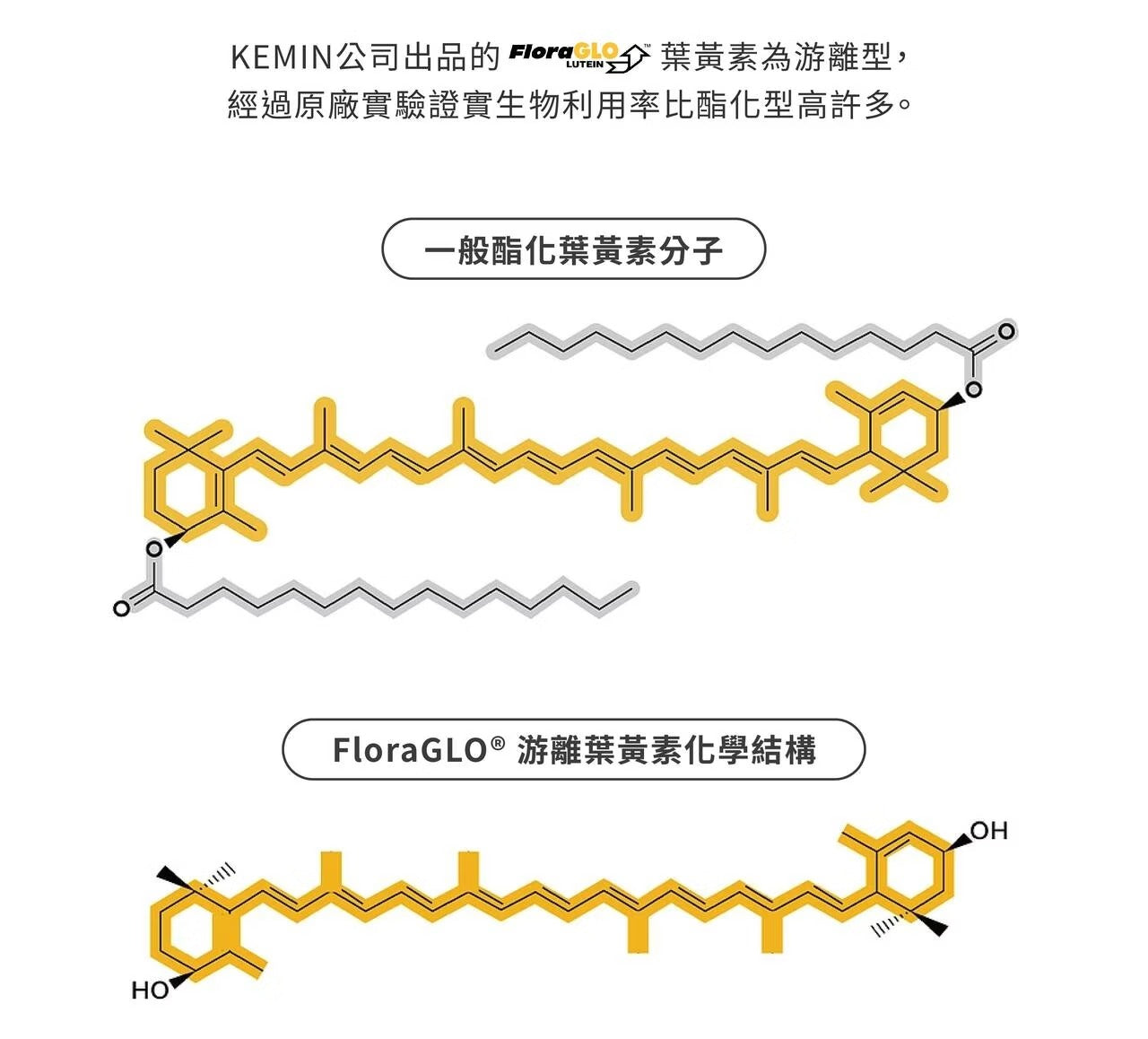 星巴哈尼｜犬用護眼營養保健