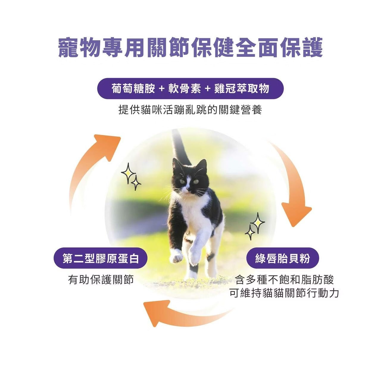 星巴哈尼｜貓用專用關節保健