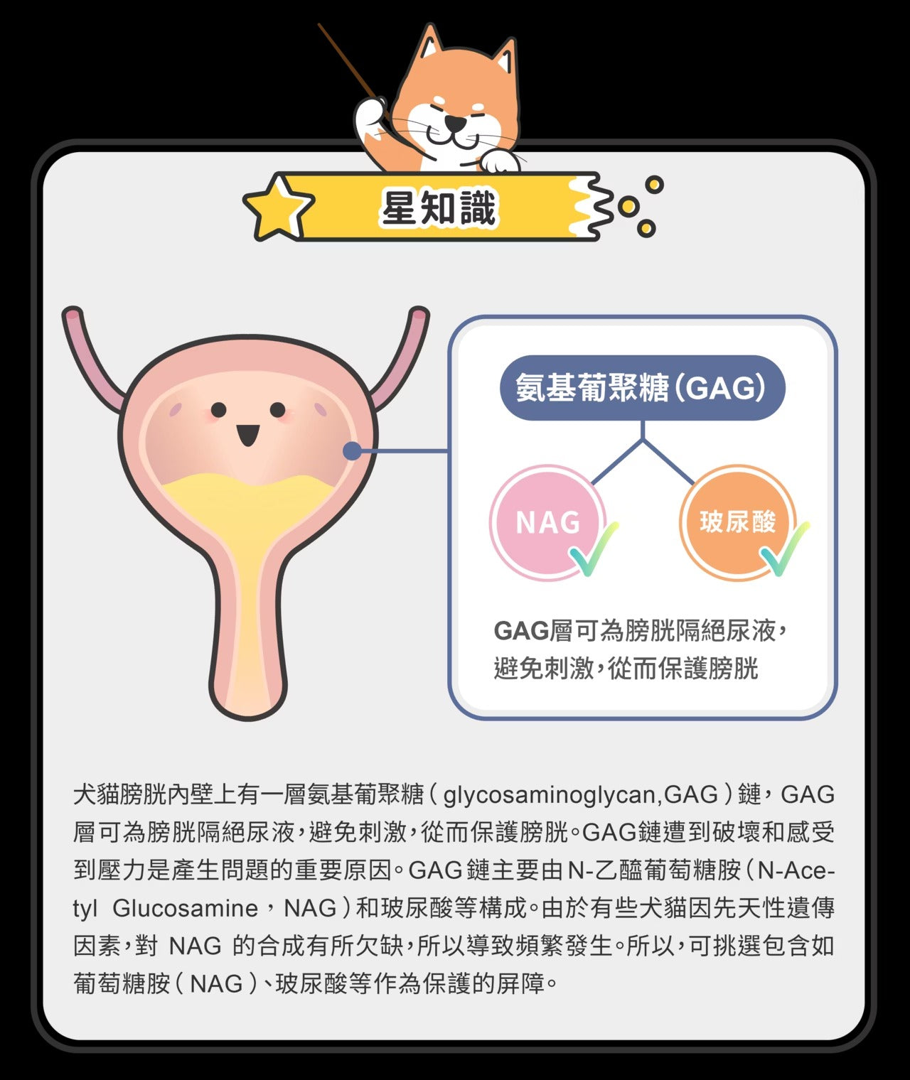 星巴哈尼｜犬用泌尿道＆舒壓保健