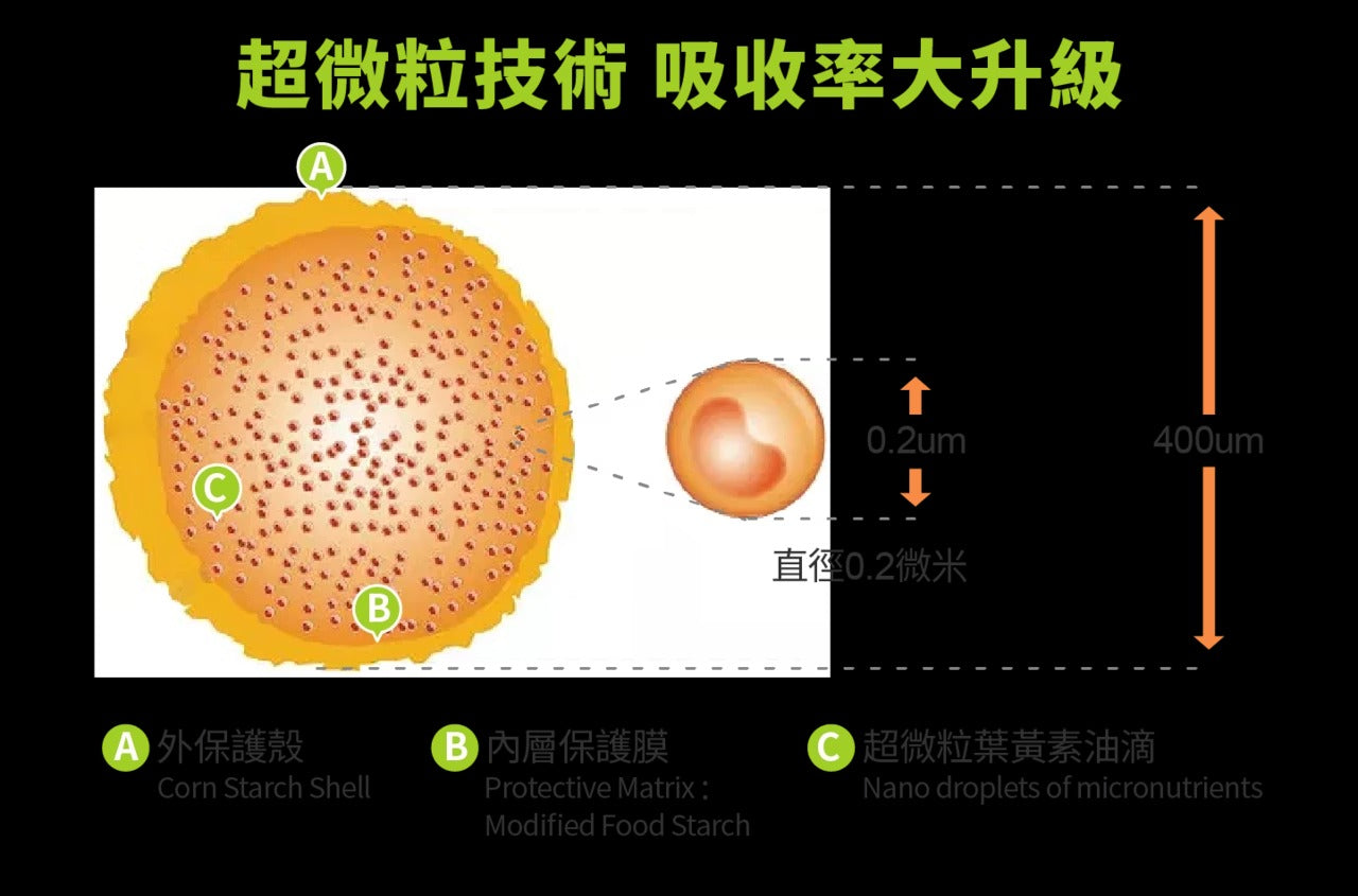 星巴哈尼｜犬用護眼營養保健