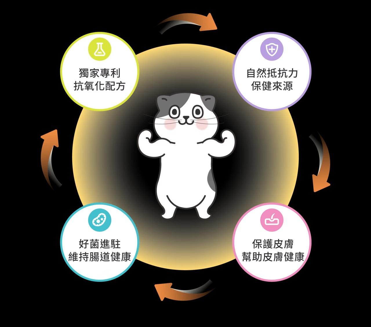 星巴哈尼｜貓用皮膚健康保健