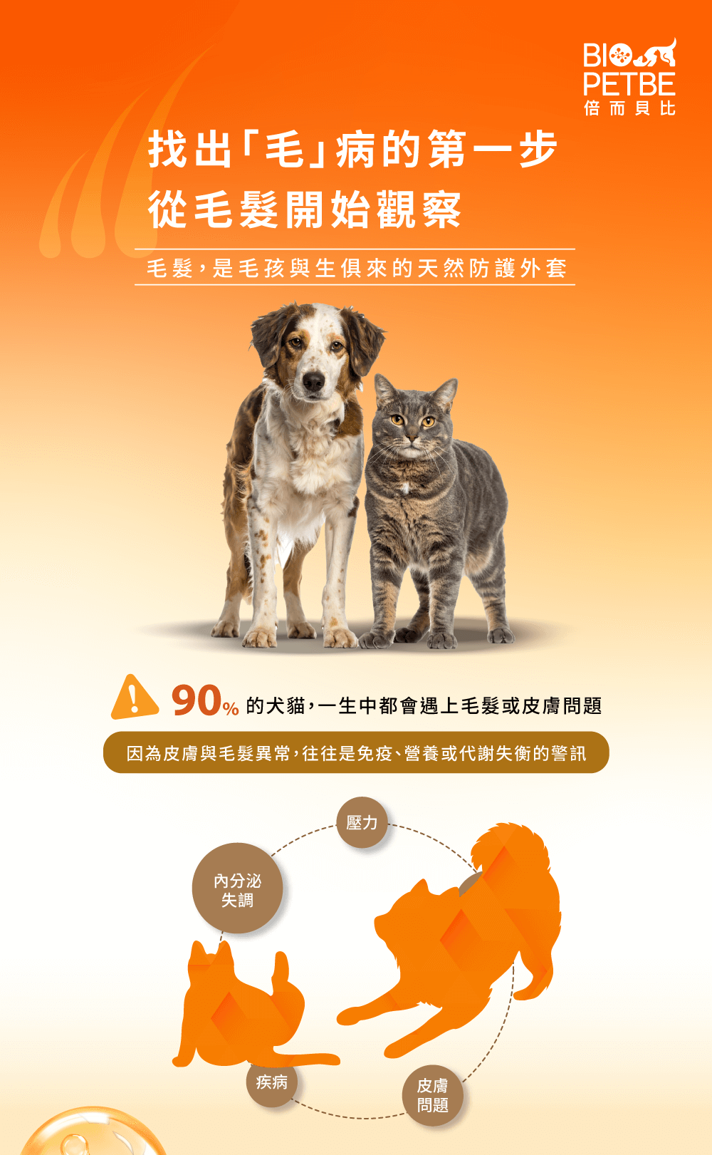 【BIO PETBE】倍而貝比 毛起來精華液