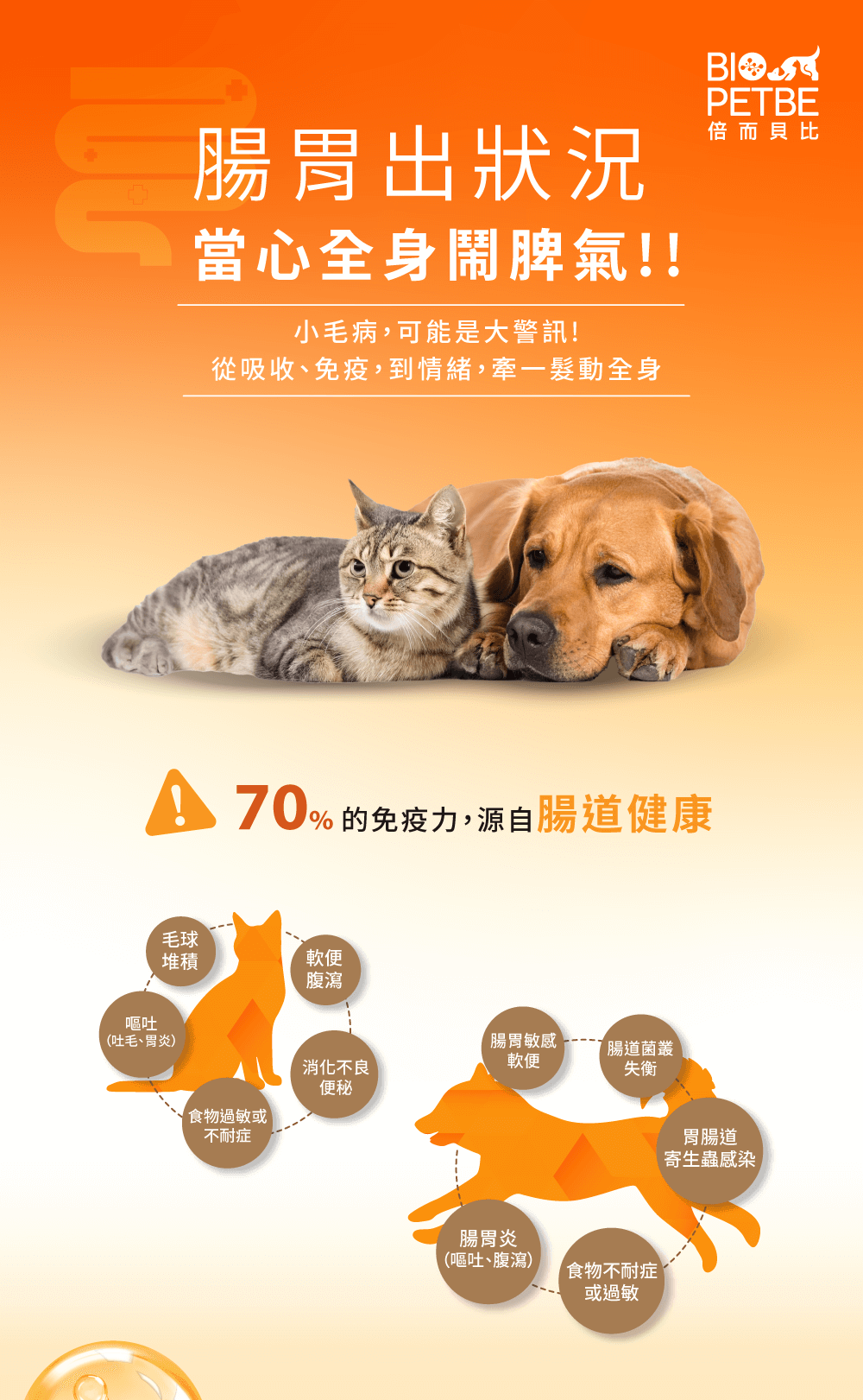 【BIO PETBE】倍而貝比 全效乳鐵冕益菌