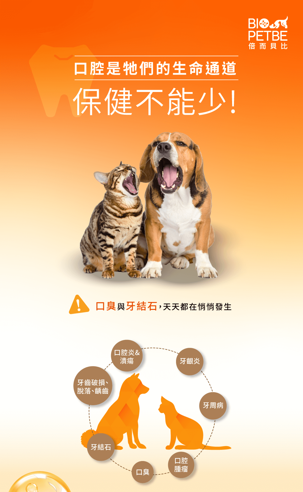 【BIO PETBE】倍而貝比 口立健噴劑