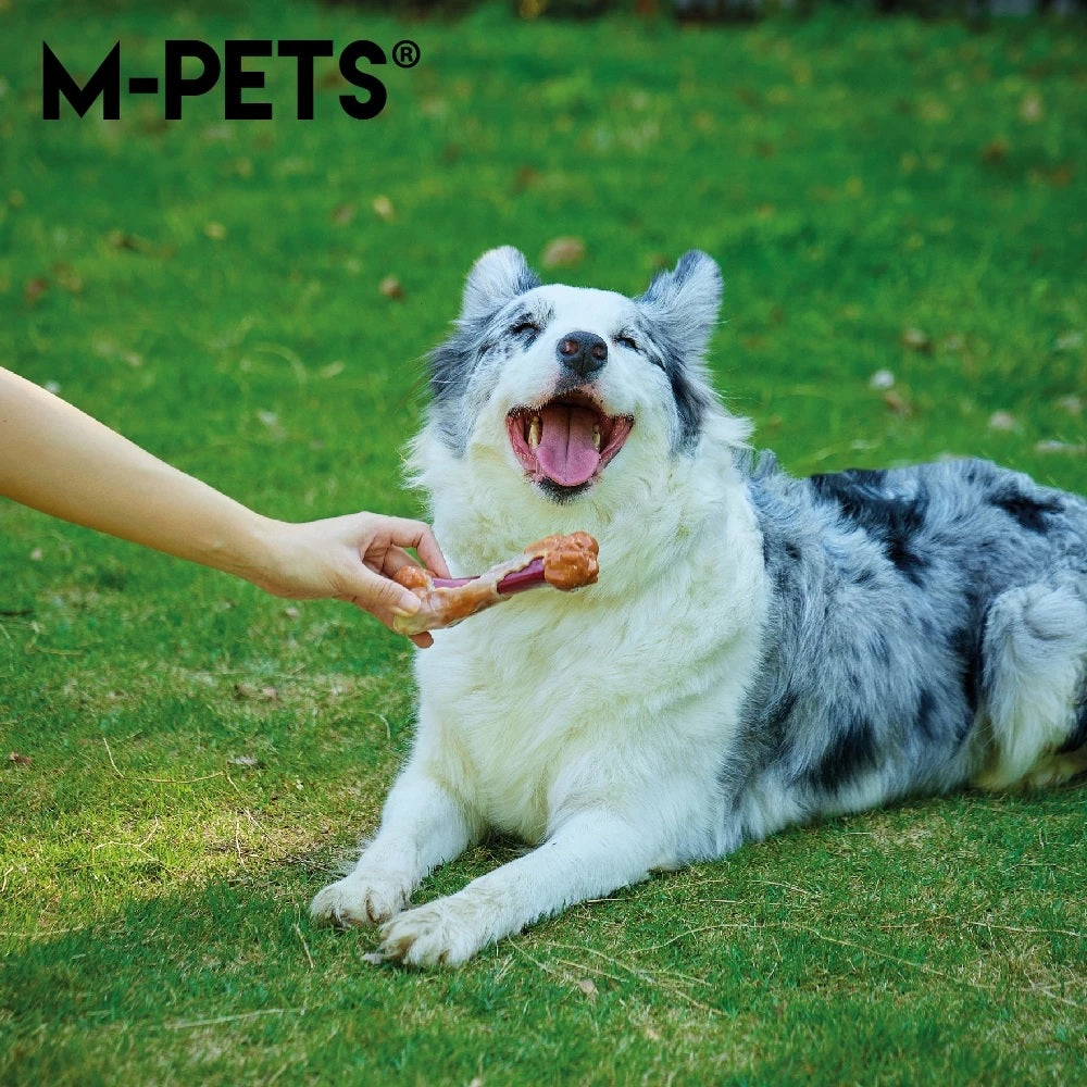 【M-PETS】CARNIVORE犬用培根風味骨頭
