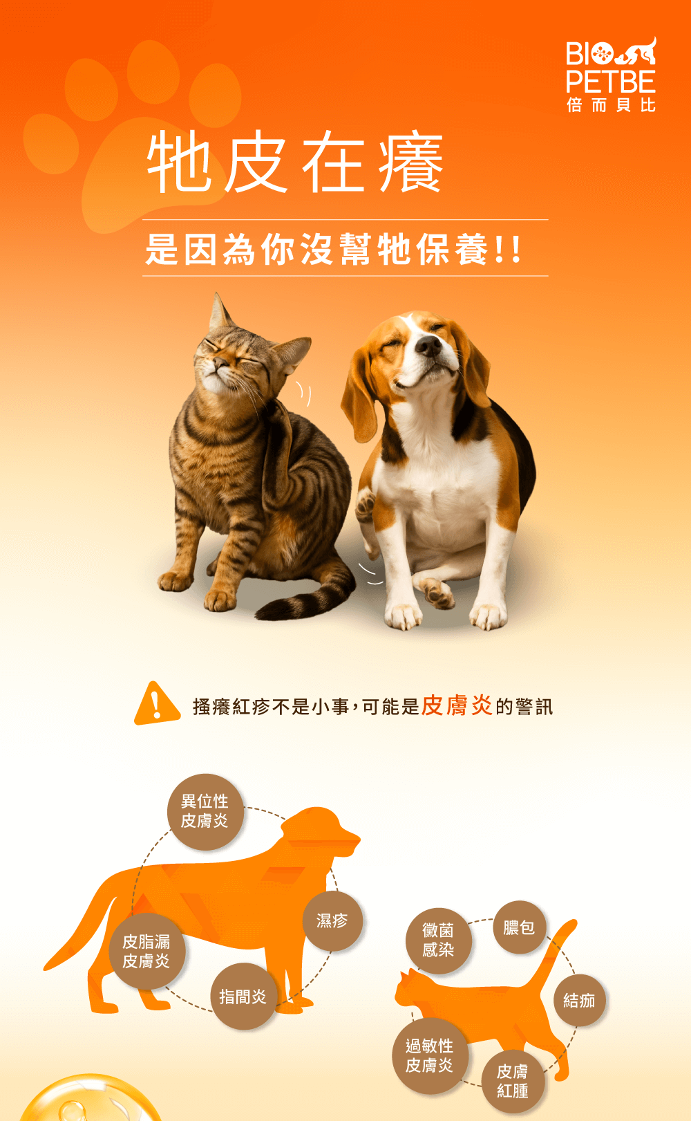 【BIO PETBE】倍而貝比 皮可用修復露