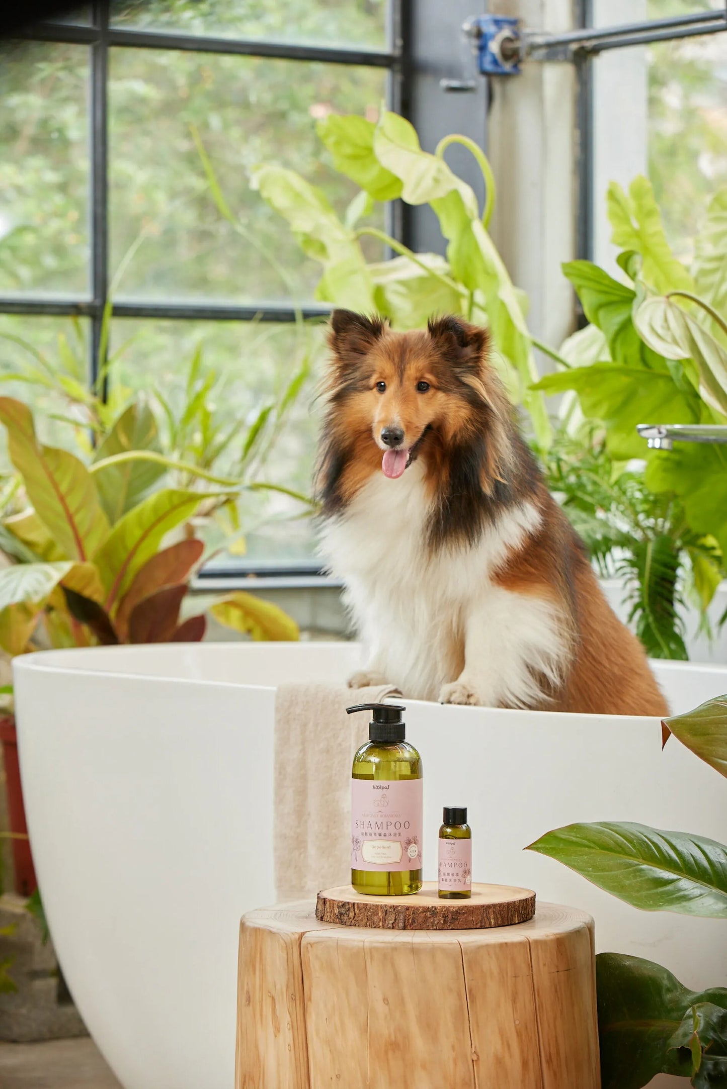 絲胺植萃｜驅蟲沐浴乳