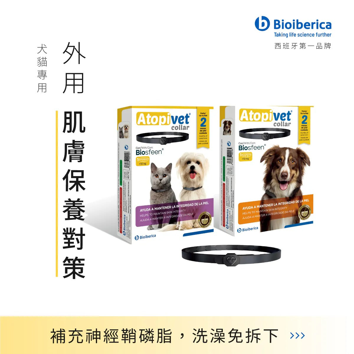 膚克威｜肌膚保養專用項圈