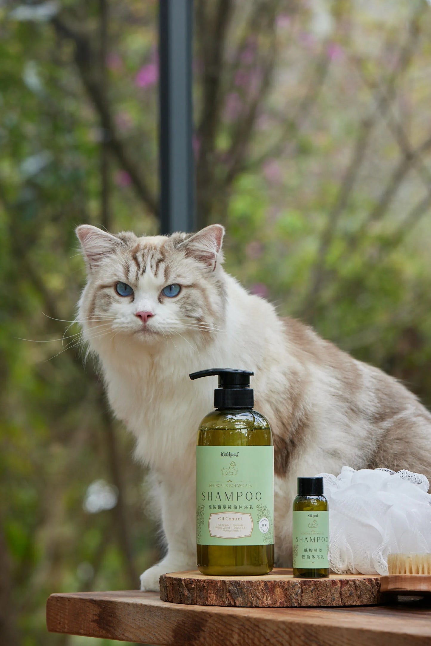 絲胺植萃｜控油沐浴乳