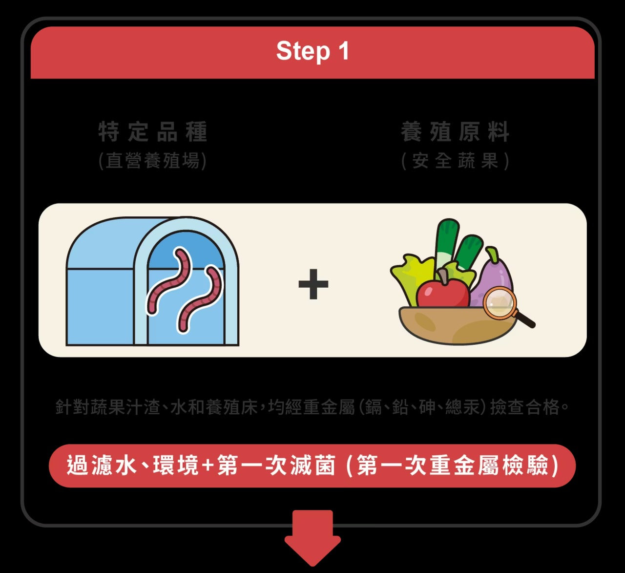 星巴哈尼｜貓用專業心血管保健