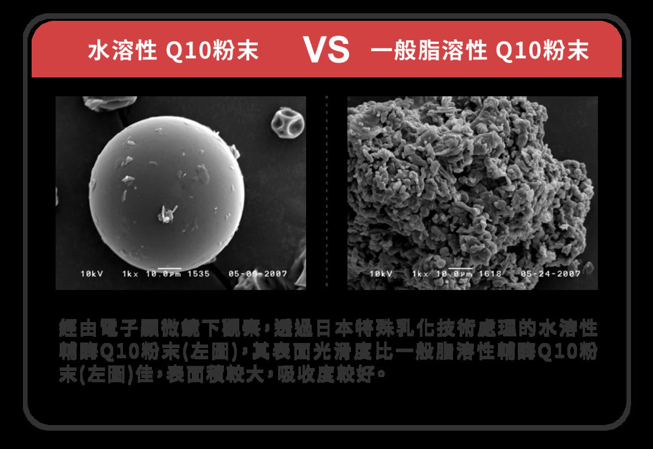 星巴哈尼｜犬用專業心血管保健