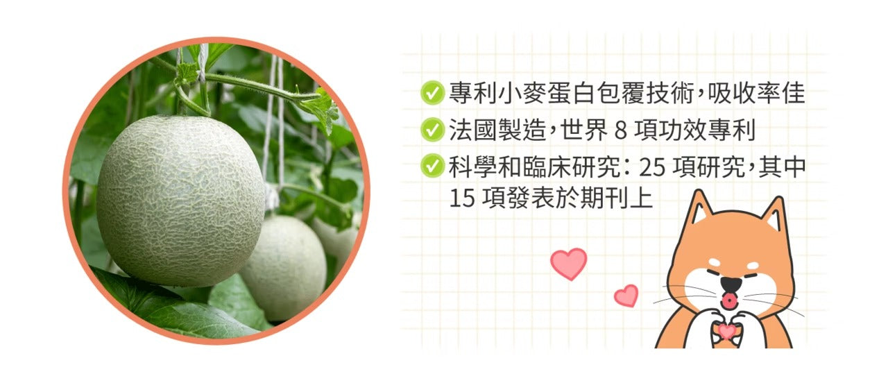 星巴哈尼｜犬用護眼營養保健