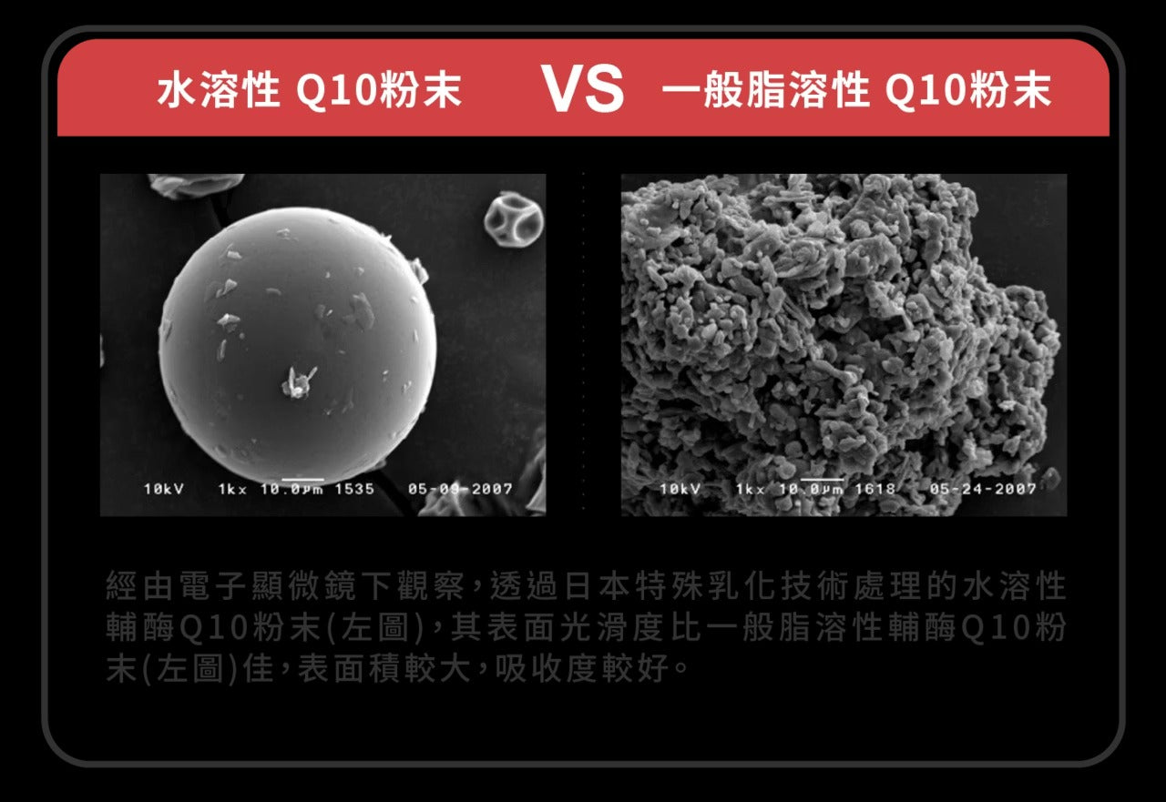 星巴哈尼｜貓用專業心血管保健