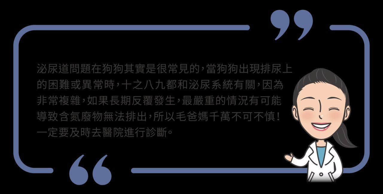 星巴哈尼｜犬用泌尿道＆舒壓保健