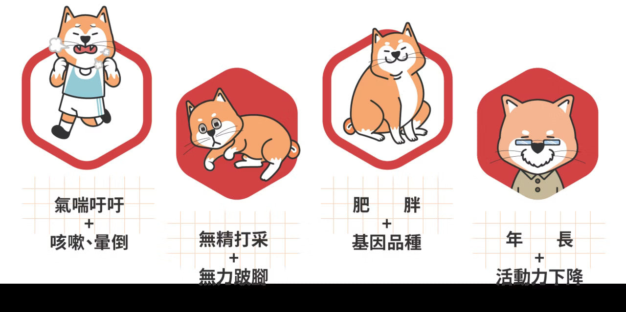 星巴哈尼｜犬用專業心血管保健