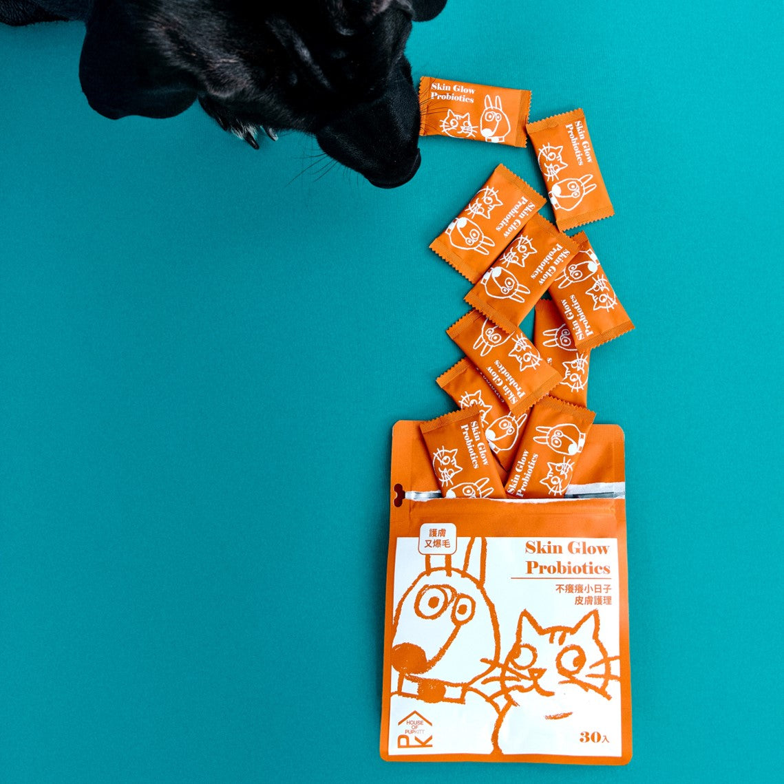 【帕奇特小屋】不癢癢小日子｜皮膚護理（犬貓適用）