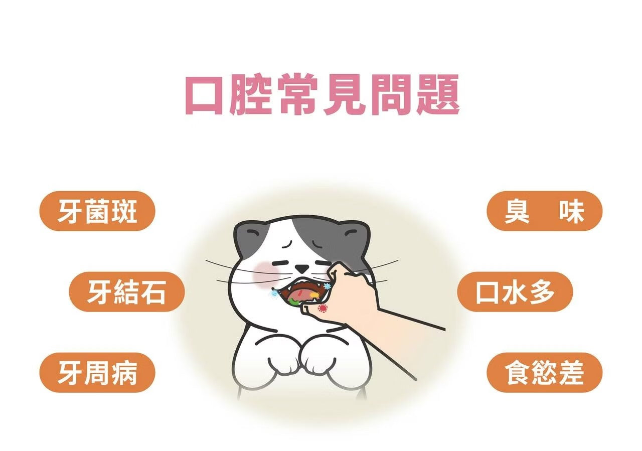 星巴哈尼｜貓用口腔護理保健