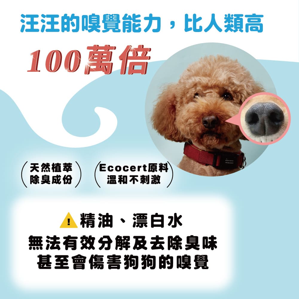 【臭味滾ODOUT】 狗 除臭噴霧 1000ml 高效分解異味2瓶優惠組 無噴頭