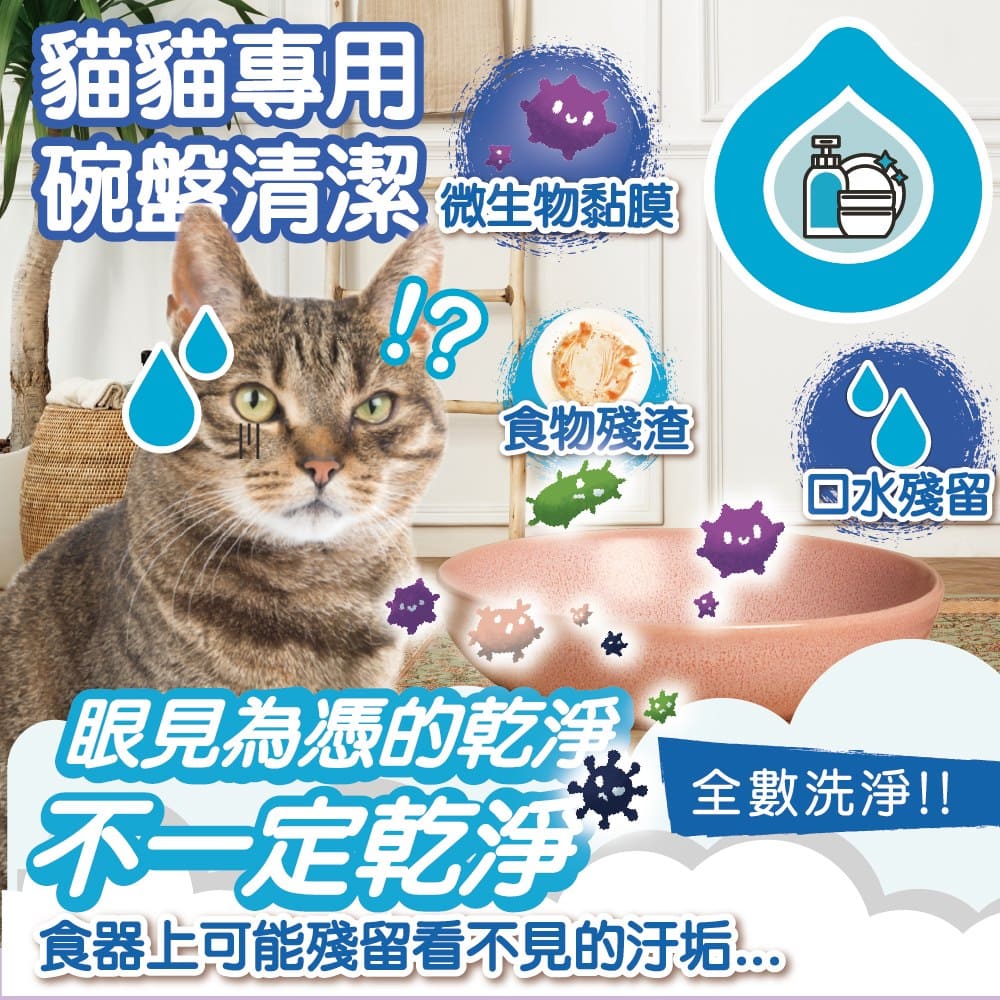 【臭味滾ODOUT】 貓 洗碗精 500ml 生食輕鬆沖淨