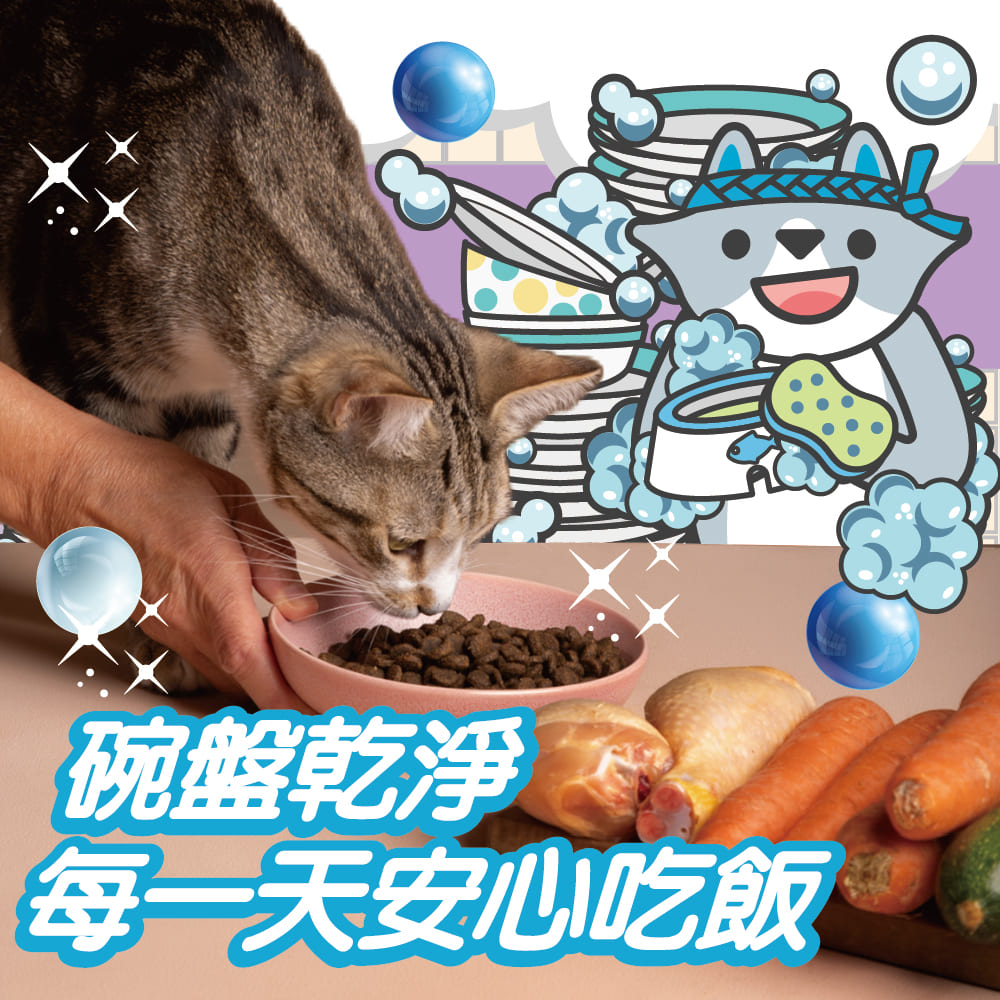 【臭味滾ODOUT】 貓 洗碗精 500ml  3瓶優惠組 生食輕鬆沖淨