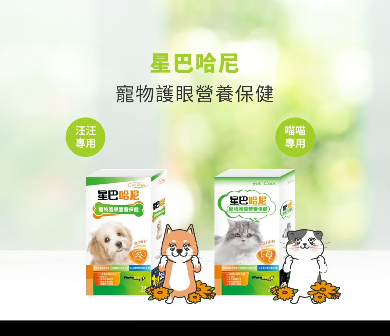 星巴哈尼｜犬用護眼營養保健