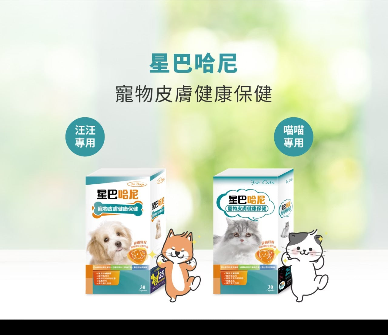 星巴哈尼｜貓用皮膚健康保健