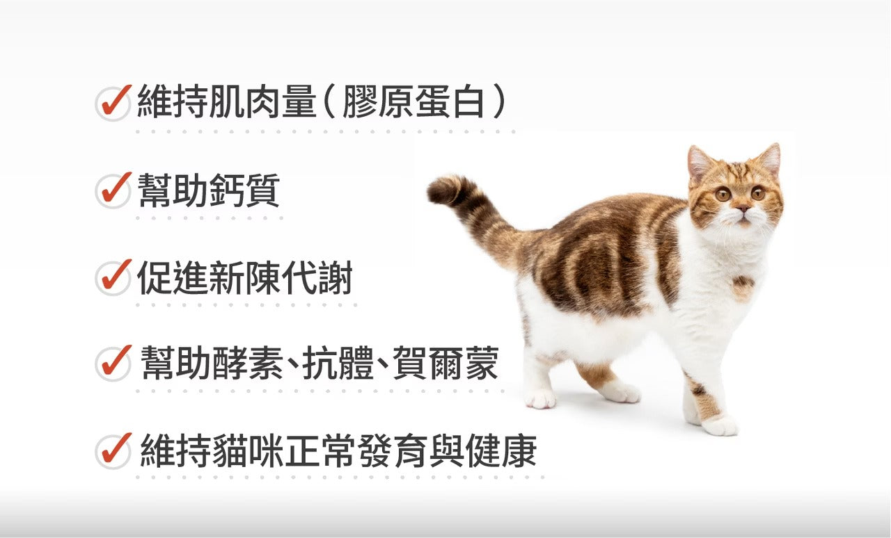 星巴哈尼｜貓用左旋離胺酸（雙多醣Plus+)