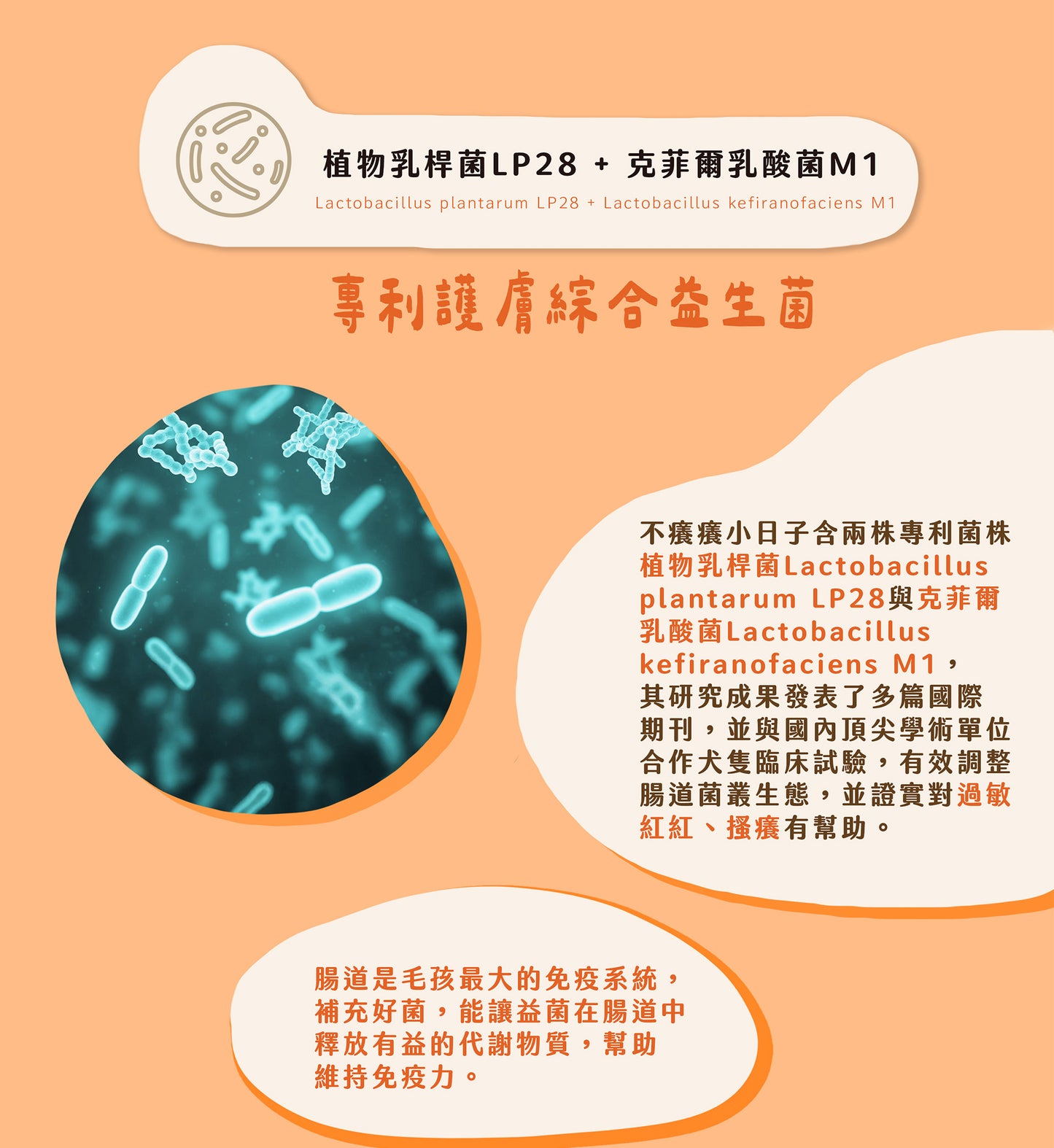 【帕奇特小屋】不癢癢小日子｜皮膚護理（犬貓適用）