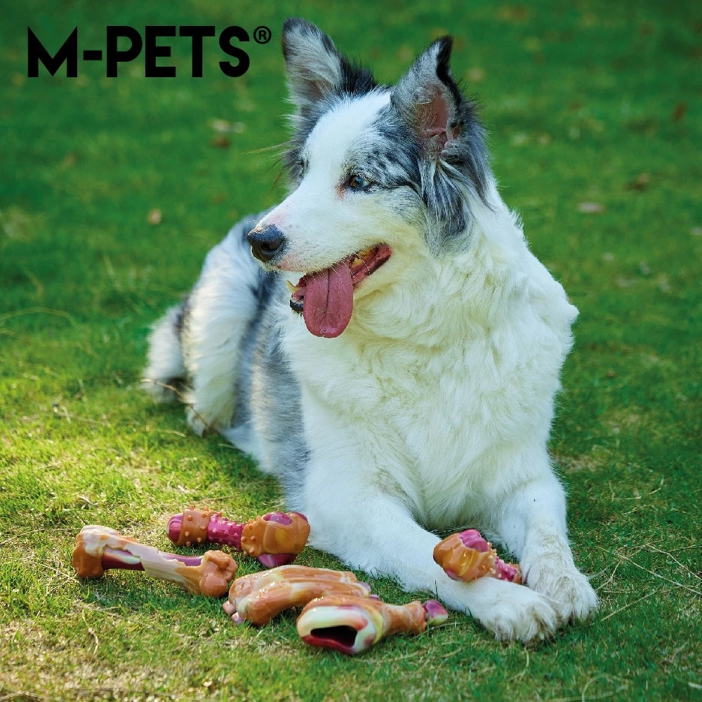 【M-PETS】CARNIVORE犬用培根風味骨頭