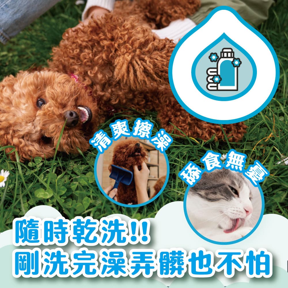 【臭味滾ODOUT】 貓狗 乾洗粉 100g・植物除臭配方