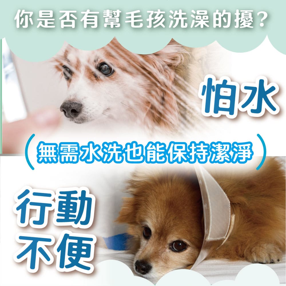 【臭味滾ODOUT】 貓狗 乾洗粉 100g・植物除臭配方