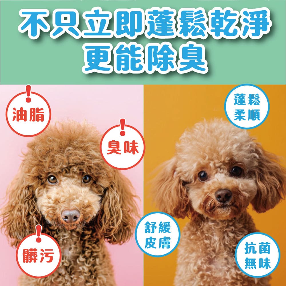 【臭味滾ODOUT】 貓狗 乾洗粉 100g・植物除臭配方