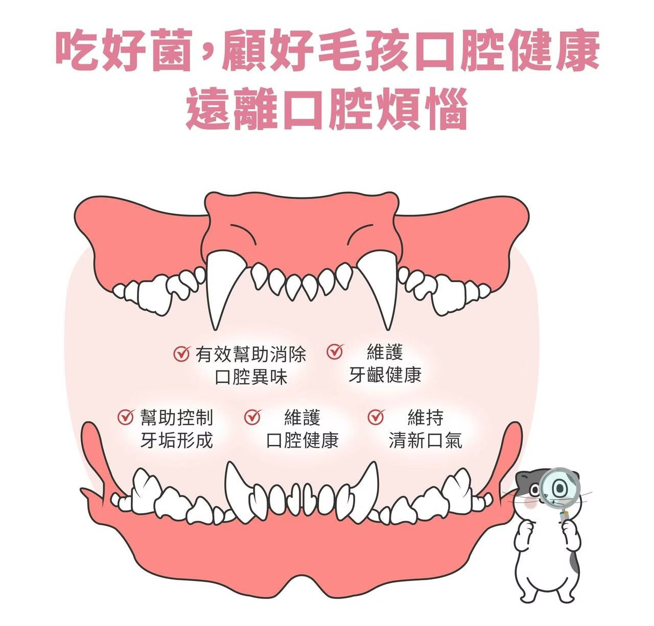 星巴哈尼｜貓用口腔護理保健