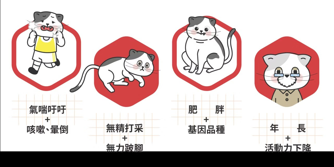 星巴哈尼｜貓用專業心血管保健